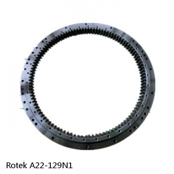 A22-129N1 Rotek Slewing Ring Bearings
