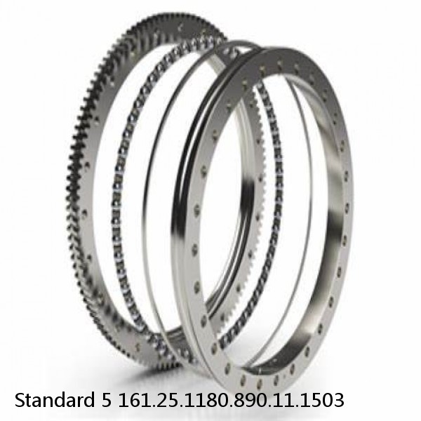 161.25.1180.890.11.1503 Standard 5 Slewing Ring Bearings