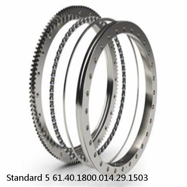 61.40.1800.014.29.1503 Standard 5 Slewing Ring Bearings