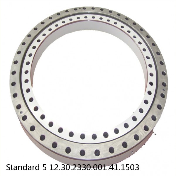 12.30.2330.001.41.1503 Standard 5 Slewing Ring Bearings