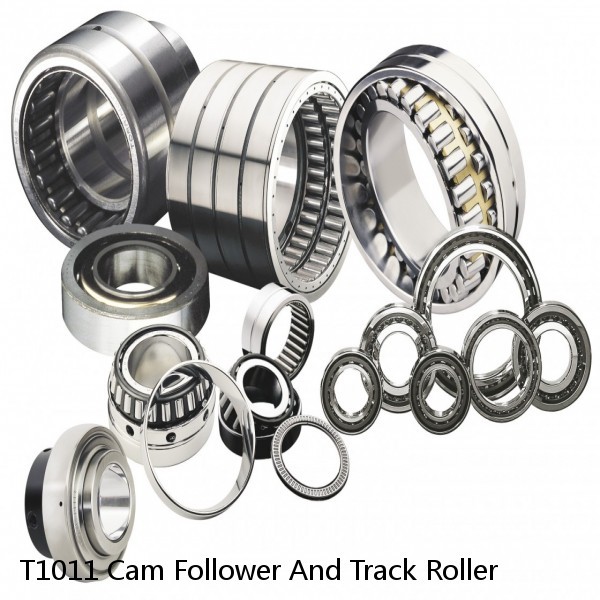 T1011 Cam Follower And Track Roller