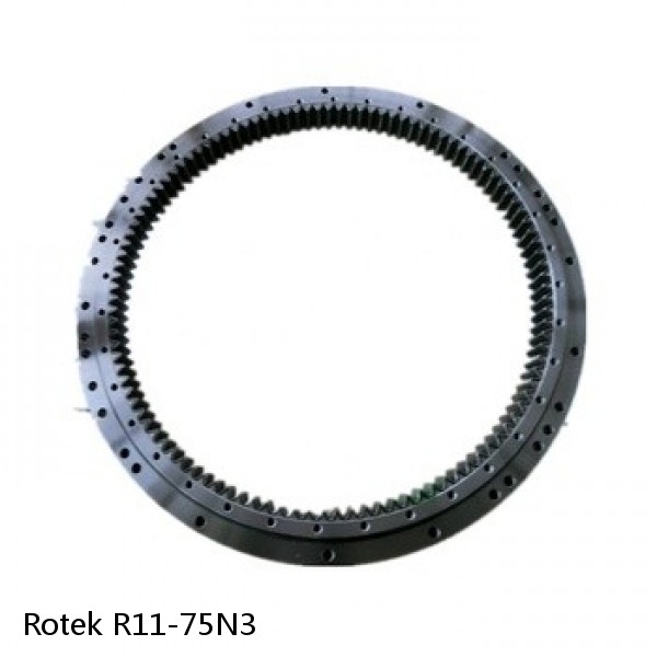 R11-75N3 Rotek Slewing Ring Bearings