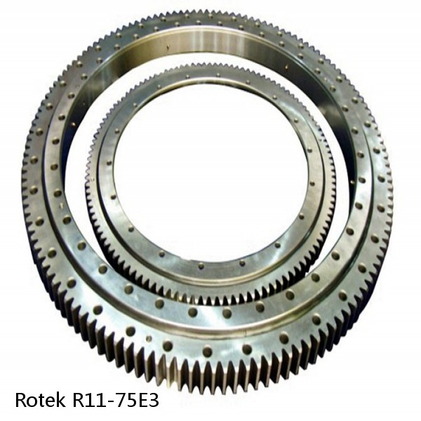 R11-75E3 Rotek Slewing Ring Bearings