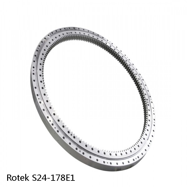 S24-178E1 Rotek Slewing Ring Bearings #1 small image