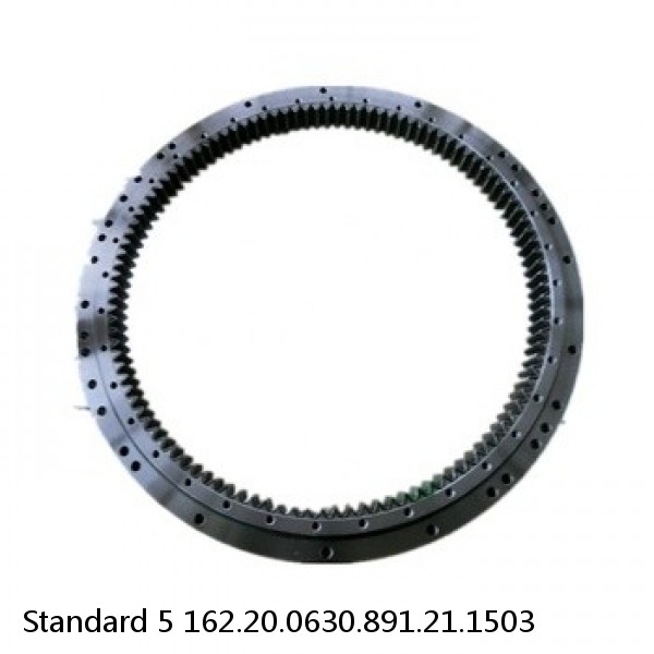 162.20.0630.891.21.1503 Standard 5 Slewing Ring Bearings #1 small image