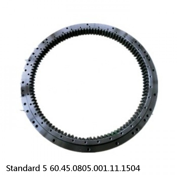60.45.0805.001.11.1504 Standard 5 Slewing Ring Bearings #1 small image