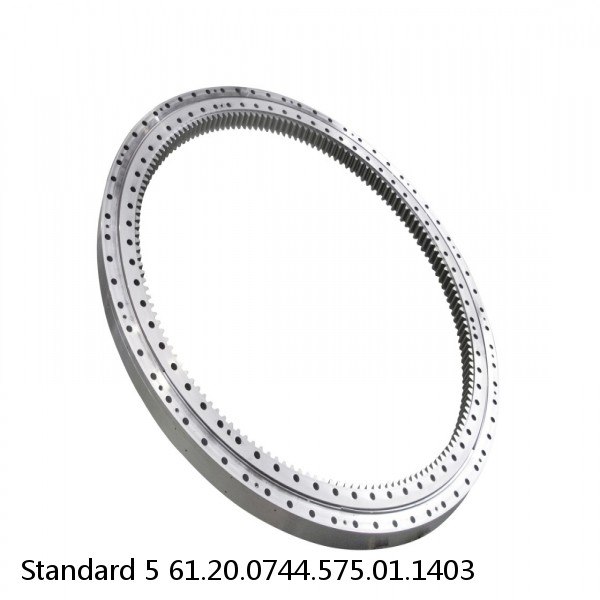 61.20.0744.575.01.1403 Standard 5 Slewing Ring Bearings #1 small image