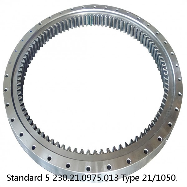 230.21.0975.013 Type 21/1050. Standard 5 Slewing Ring Bearings #1 small image
