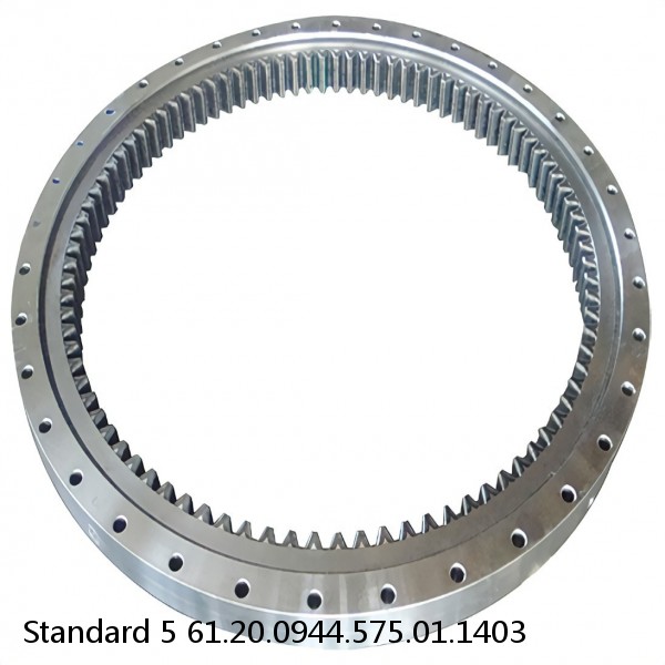 61.20.0944.575.01.1403 Standard 5 Slewing Ring Bearings #1 small image