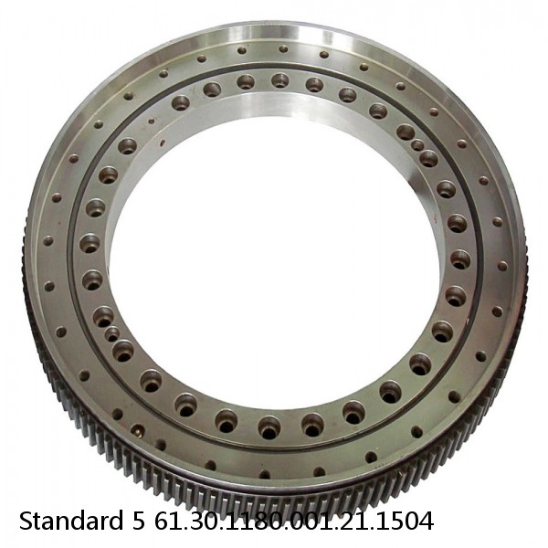 61.30.1180.001.21.1504 Standard 5 Slewing Ring Bearings #1 small image