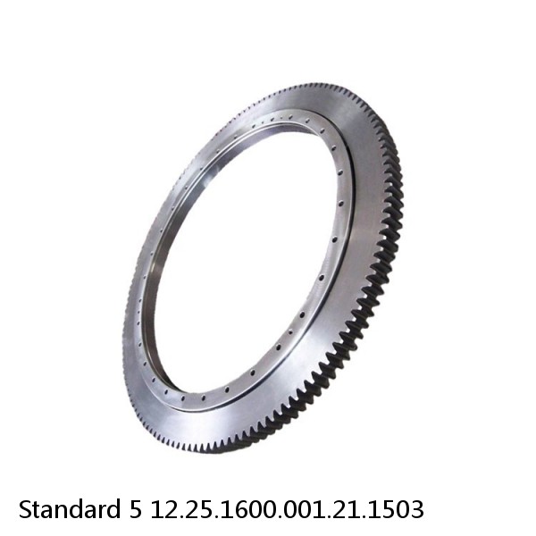 12.25.1600.001.21.1503 Standard 5 Slewing Ring Bearings #1 small image