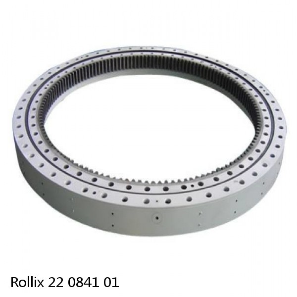 22 0841 01 Rollix Slewing Ring Bearings #1 small image
