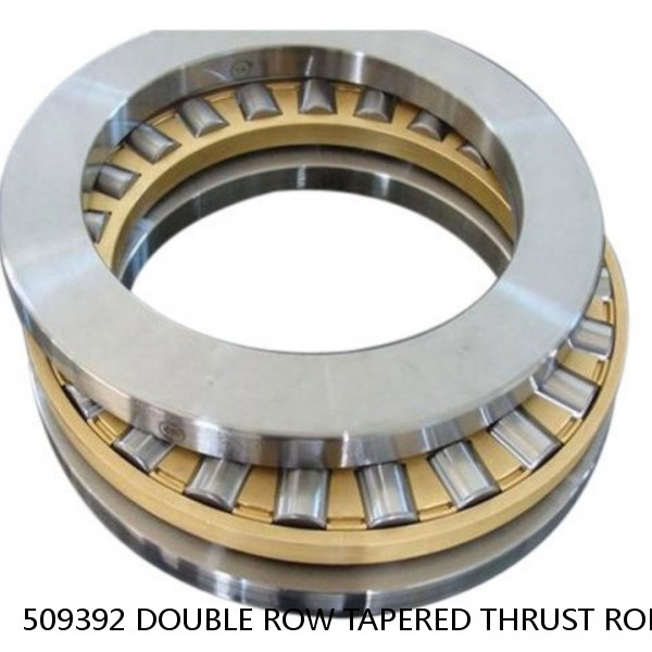 509392 DOUBLE ROW TAPERED THRUST ROLLER BEARINGS #1 small image