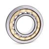 0.984 Inch | 25 Millimeter x 1.337 Inch | 33.972 Millimeter x 0.669 Inch | 17 Millimeter  LINK BELT MR1305  Cylindrical Roller Bearings #3 small image
