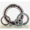 best performance bearing steel P0 rolamentos NSK 6203dw c3 6204 6205 bearing made in Japan #1 small image