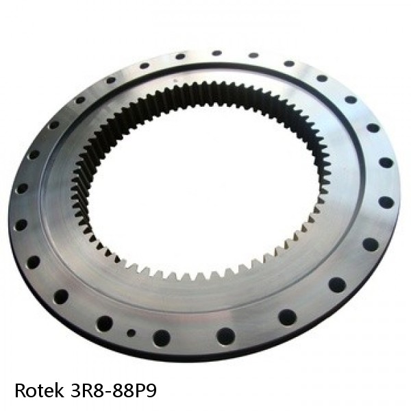 3R8-88P9 Rotek Slewing Ring Bearings #1 image