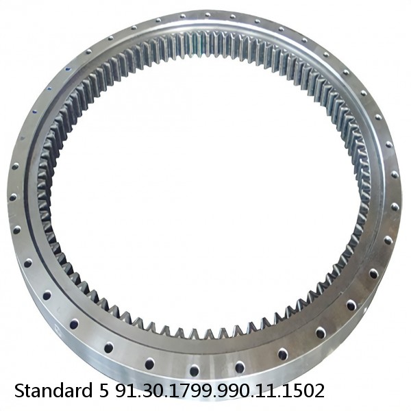 91.30.1799.990.11.1502 Standard 5 Slewing Ring Bearings #1 image