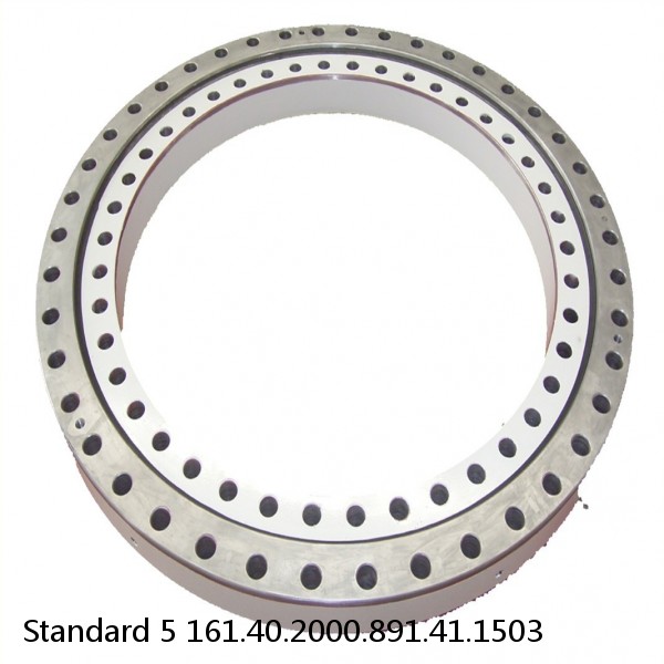 161.40.2000.891.41.1503 Standard 5 Slewing Ring Bearings #1 image