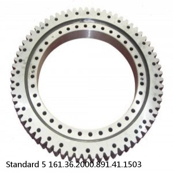 161.36.2000.891.41.1503 Standard 5 Slewing Ring Bearings #1 image