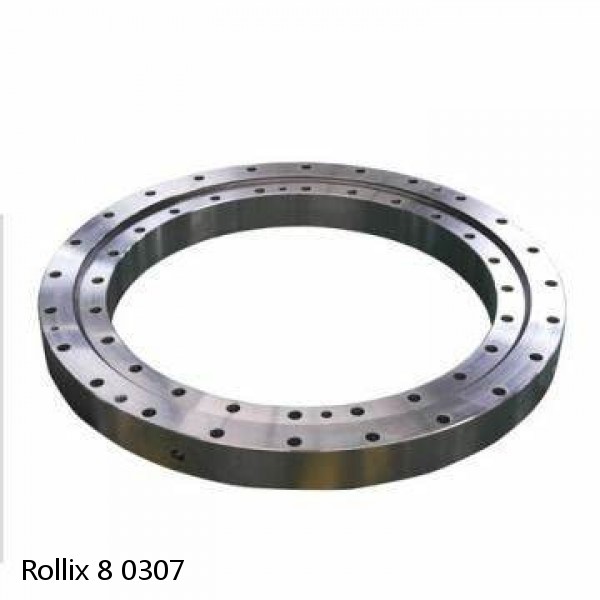 8 0307 Rollix Slewing Ring Bearings #1 image