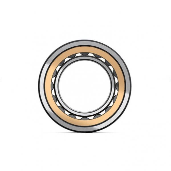 1.181 Inch | 30 Millimeter x 2.441 Inch | 62 Millimeter x 1.875 Inch | 47.625 Millimeter  LINK BELT MA6206TV  Cylindrical Roller Bearings #1 image