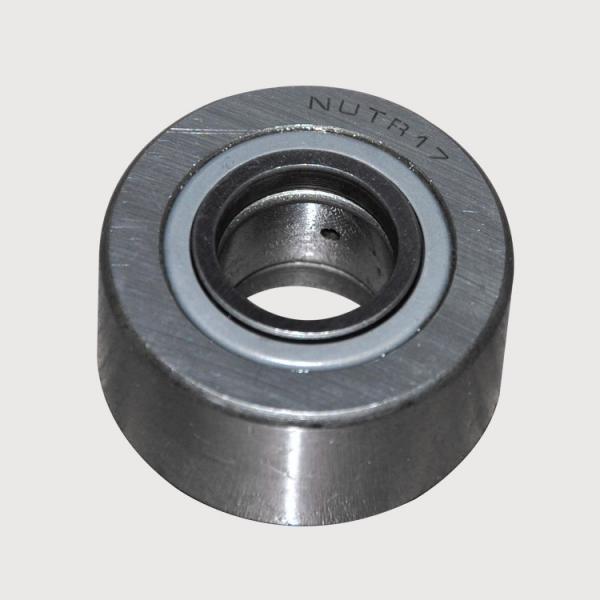 0.394 Inch | 10 Millimeter x 0.551 Inch | 14 Millimeter x 0.551 Inch | 14 Millimeter  INA HK1014-2RS-FPM  Needle Non Thrust Roller Bearings #5 image