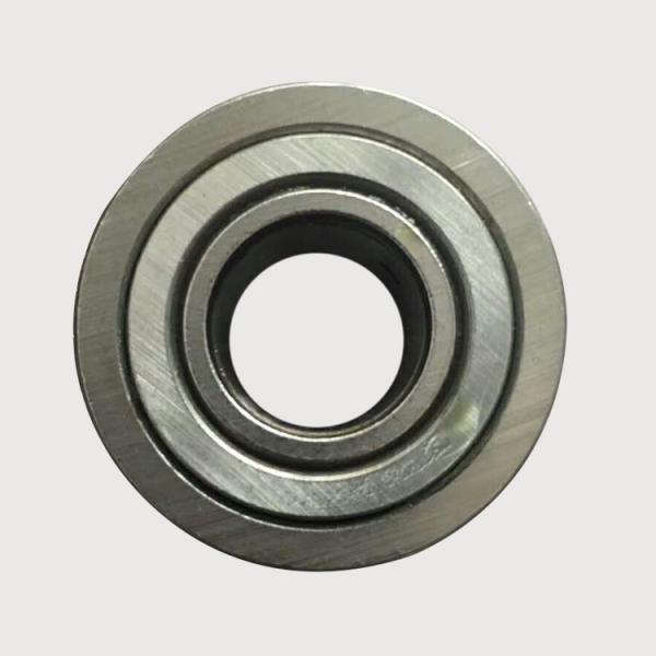 0.394 Inch | 10 Millimeter x 0.551 Inch | 14 Millimeter x 0.551 Inch | 14 Millimeter  INA HK1014-2RS-FPM  Needle Non Thrust Roller Bearings #1 image