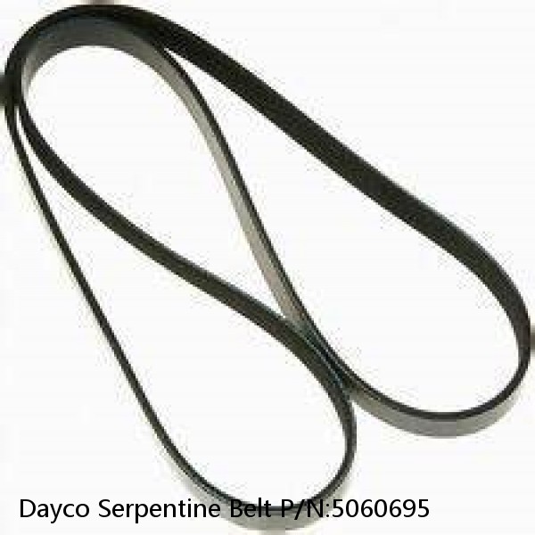 Dayco Serpentine Belt P/N:5060695 #1 image